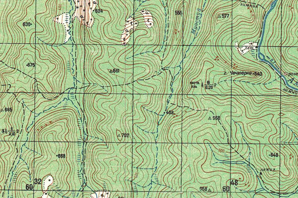 Уменьшенный фрагмент представленной топографической карты O-51-10 - Trasa.ru
