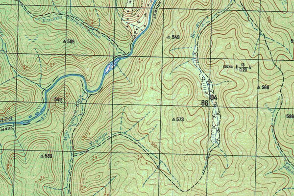 Уменьшенный фрагмент представленной топографической карты O-51-11 - Trasa.ru