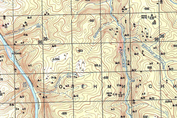 Уменьшенный фрагмент представленной топографической карты O-51-14 - Trasa.ru