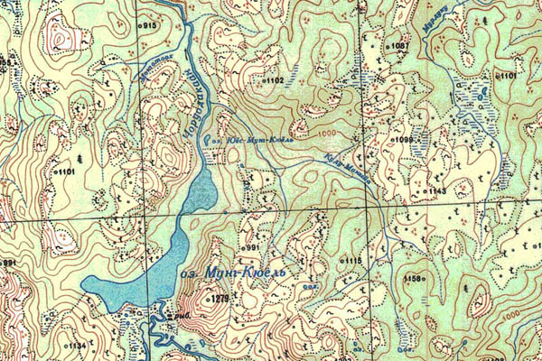 Уменьшенный фрагмент представленной топографической карты O-51-19 - Trasa.ru