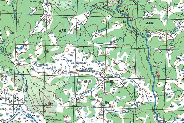 Уменьшенный фрагмент представленной топографической карты O-51-24 - Trasa.ru