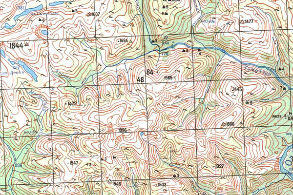 Уменьшенный фрагмент представленной топографической карты O-51-25 - Trasa.ru
