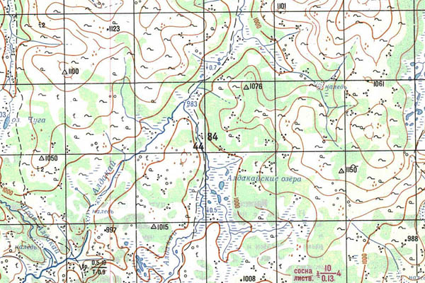 Уменьшенный фрагмент представленной топографической карты O-51-27 - Trasa.ru
