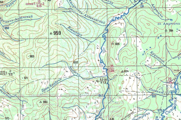 Уменьшенный фрагмент представленной топографической карты O-51-28 - Trasa.ru