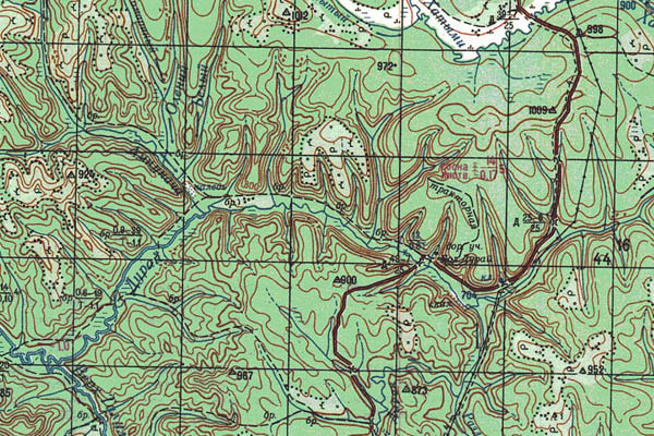Уменьшенный фрагмент представленной топографической карты O-51-29 - Trasa.ru