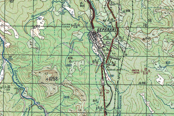 Уменьшенный фрагмент представленной топографической карты O-51-35 - Trasa.ru