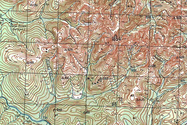 Уменьшенный фрагмент представленной топографической карты O-51-36 - Trasa.ru