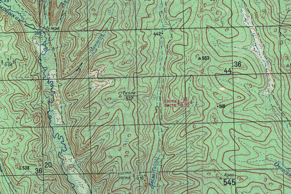 Уменьшенный фрагмент представленной топографической карты O-52-02 - Trasa.ru
