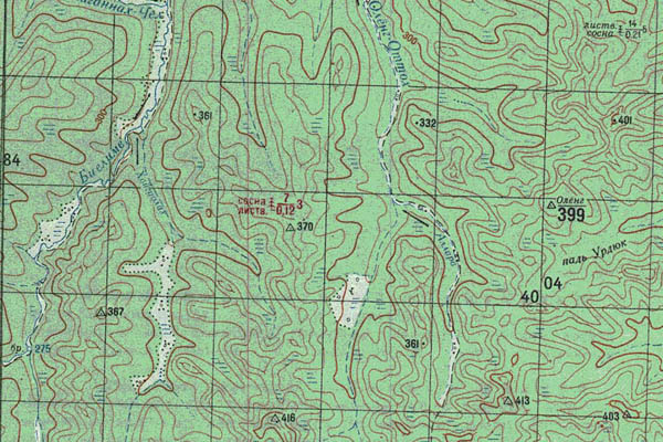 Уменьшенный фрагмент представленной топографической карты O-52-05 - Trasa.ru
