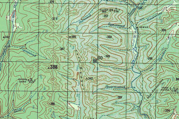 Уменьшенный фрагмент представленной топографической карты O-52-11 - Trasa.ru