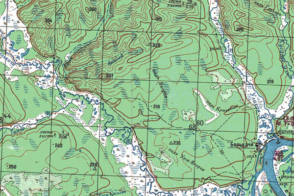 Уменьшенный фрагмент представленной топографической карты O-52-12 - Trasa.ru