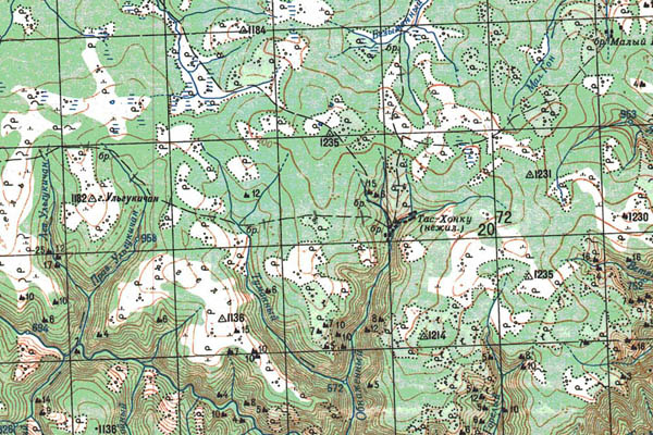 Уменьшенный фрагмент представленной топографической карты O-52-19 - Trasa.ru