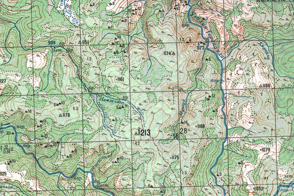 Уменьшенный фрагмент представленной топографической карты O-52-20 - Trasa.ru