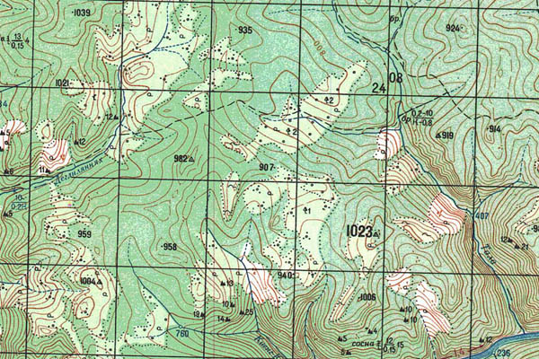 Уменьшенный фрагмент представленной топографической карты O-52-23 - Trasa.ru