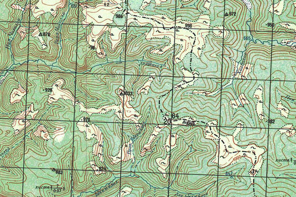 Уменьшенный фрагмент представленной топографической карты O-52-24 - Trasa.ru