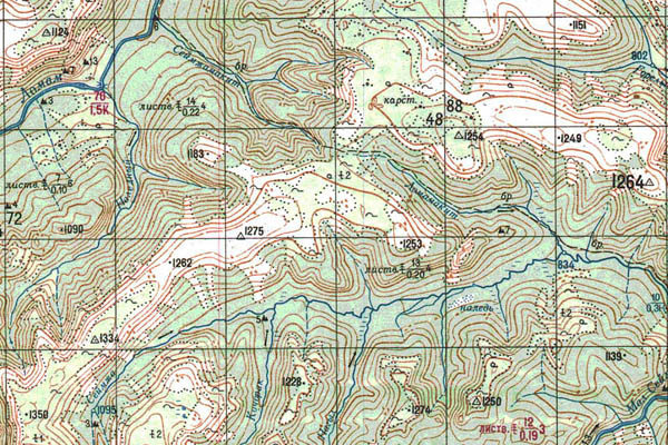 Уменьшенный фрагмент представленной топографической карты O-52-27 - Trasa.ru