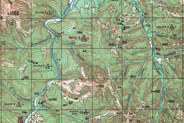 Уменьшенный фрагмент представленной топографической карты O-52-33 - Trasa.ru