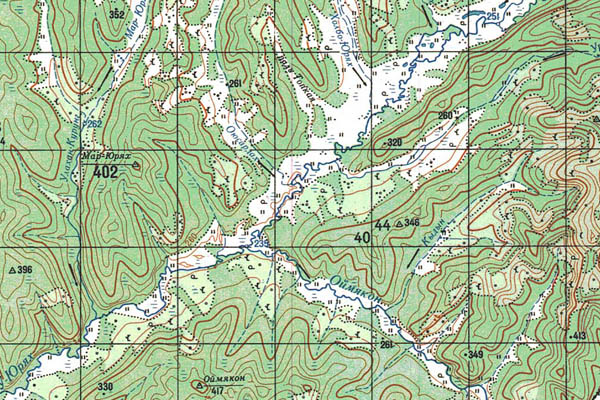 Уменьшенный фрагмент представленной топографической карты O-53-04 - Trasa.ru
