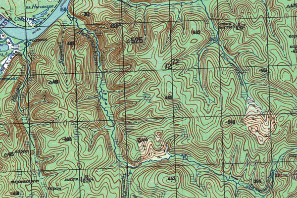 Уменьшенный фрагмент представленной топографической карты O-53-07 - Trasa.ru