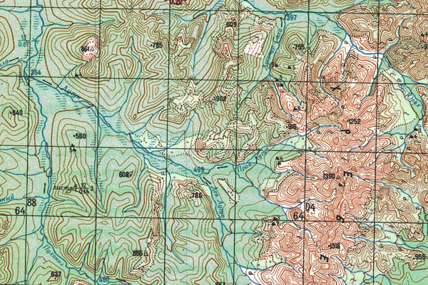 Уменьшенный фрагмент представленной топографической карты O-53-11 - Trasa.ru