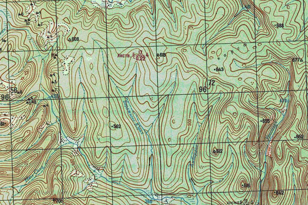 Уменьшенный фрагмент представленной топографической карты O-53-13 - Trasa.ru
