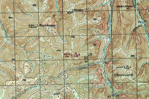 Уменьшенный фрагмент представленной топографической карты O-53-14 - Trasa.ru