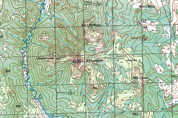 Уменьшенный фрагмент представленной топографической карты O-53-20 - Trasa.ru