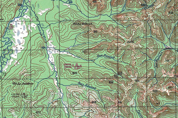 Уменьшенный фрагмент представленной топографической карты O-53-21 - Trasa.ru