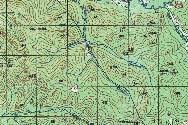 Уменьшенный фрагмент представленной топографической карты O-53-22 - Trasa.ru