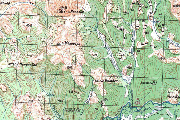 Уменьшенный фрагмент представленной топографической карты O-53-24 - Trasa.ru