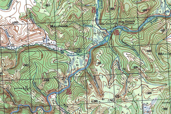 Уменьшенный фрагмент представленной топографической карты O-53-25 - Trasa.ru