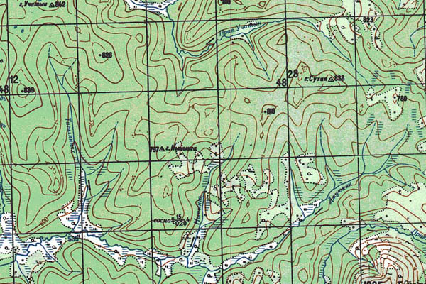 Уменьшенный фрагмент представленной топографической карты O-53-26 - Trasa.ru