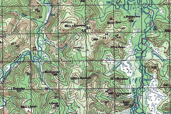 Уменьшенный фрагмент представленной топографической карты O-53-27 - Trasa.ru