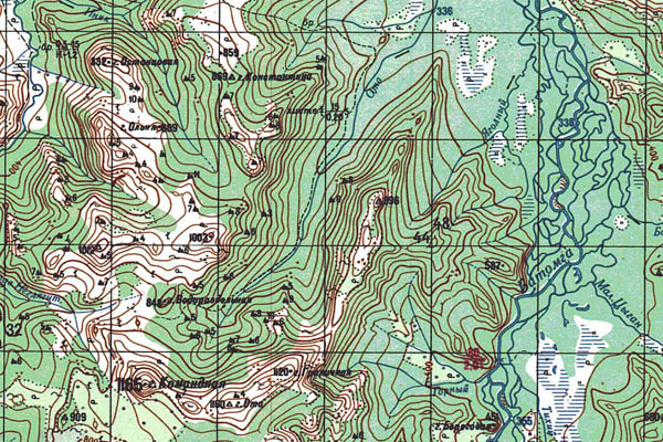 Уменьшенный фрагмент представленной топографической карты O-53-28 - Trasa.ru