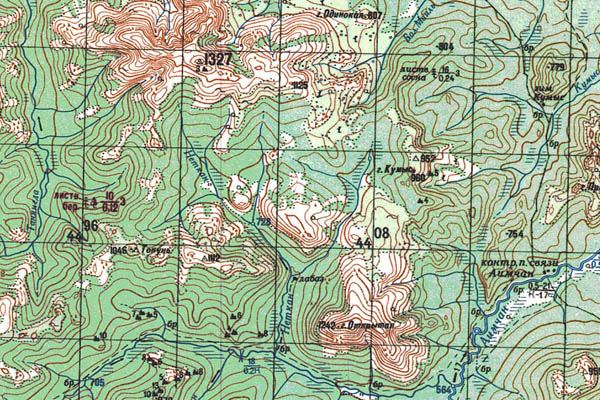 Уменьшенный фрагмент представленной топографической карты O-53-29 - Trasa.ru