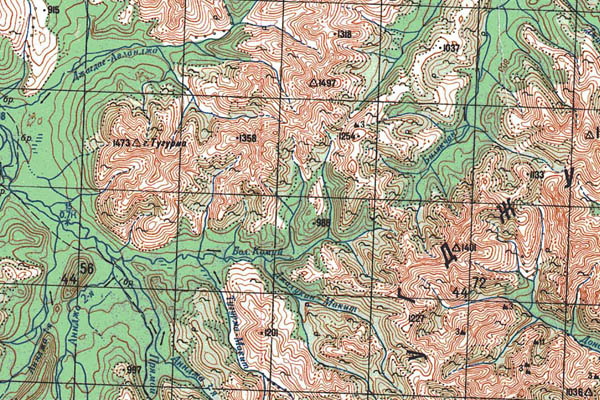 Уменьшенный фрагмент представленной топографической карты O-53-30 - Trasa.ru