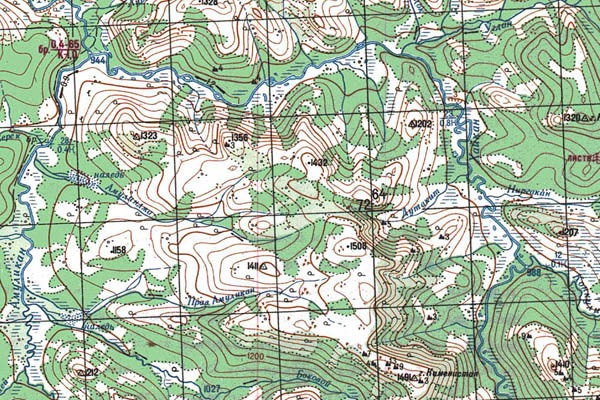 Уменьшенный фрагмент представленной топографической карты O-53-31 - Trasa.ru