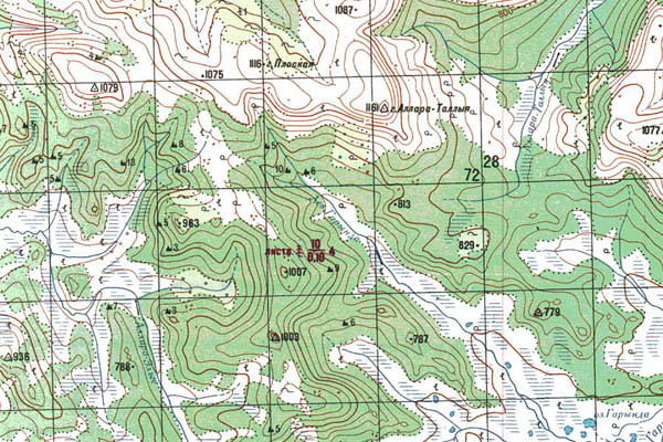 Уменьшенный фрагмент представленной топографической карты O-53-32 - Trasa.ru