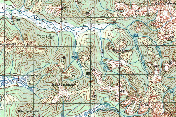 Уменьшенный фрагмент представленной топографической карты O-53-33 - Trasa.ru