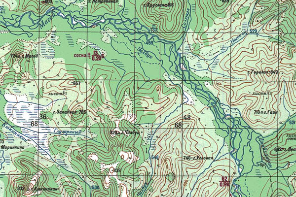 Уменьшенный фрагмент представленной топографической карты O-53-34 - Trasa.ru