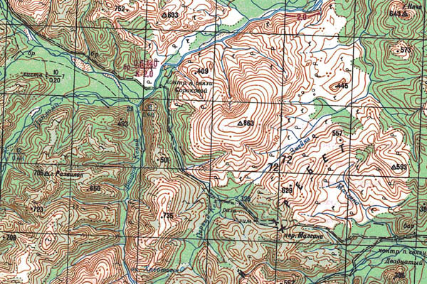 Уменьшенный фрагмент представленной топографической карты O-53-36 - Trasa.ru