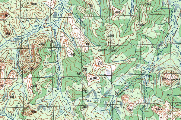 Уменьшенный фрагмент представленной топографической карты O-54-02 - Trasa.ru