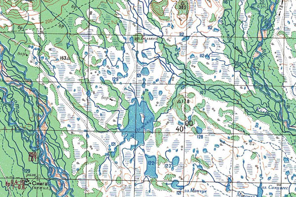 Уменьшенный фрагмент представленной топографической карты O-54-05 - Trasa.ru