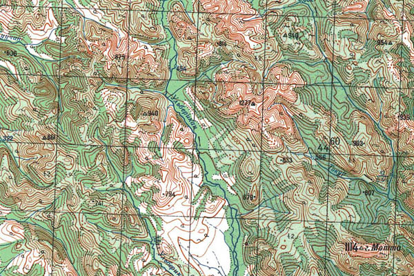 Уменьшенный фрагмент представленной топографической карты O-54-06 - Trasa.ru