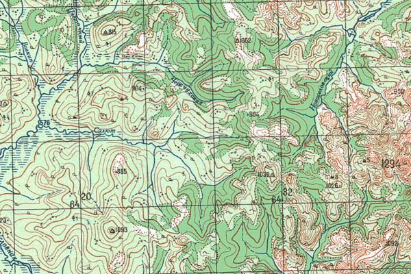 Уменьшенный фрагмент представленной топографической карты O-54-08 - Trasa.ru