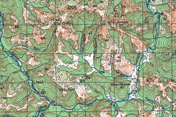 Уменьшенный фрагмент представленной топографической карты O-54-09 - Trasa.ru