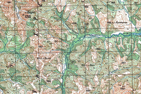 Уменьшенный фрагмент представленной топографической карты O-54-19 - Trasa.ru