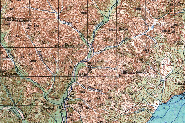 Уменьшенный фрагмент представленной топографической карты O-54-21 - Trasa.ru