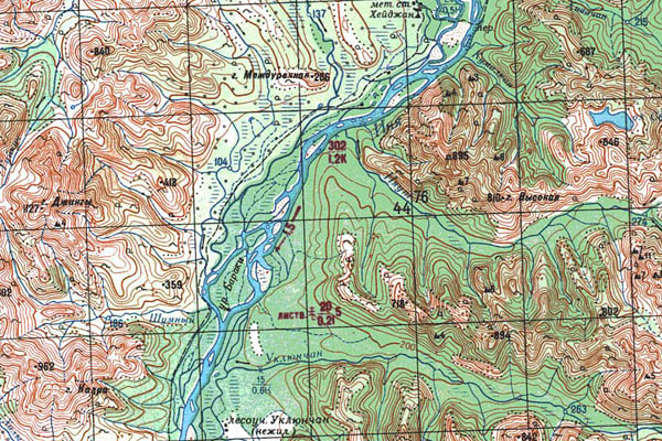 Уменьшенный фрагмент представленной топографической карты O-55-01 - Trasa.ru