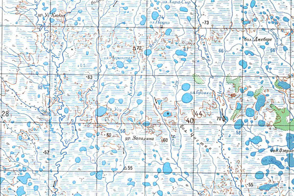Уменьшенный фрагмент представленной топографической карты O-55-04 - Trasa.ru
